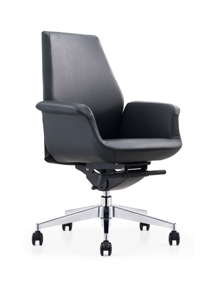Ƥ����CH-241B �� (2)