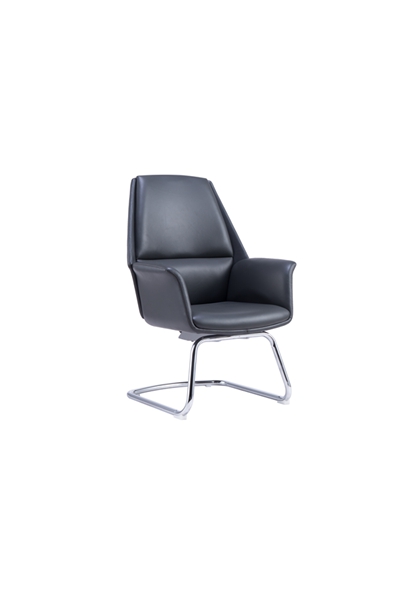 Ƥ����CH-255C (2)