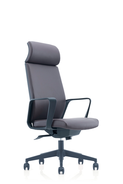 Ƥ����CH-256A