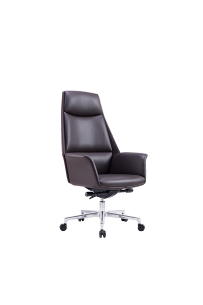 Ƥ����CH-255A ( (1)